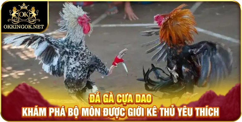 đá gà cựa dao